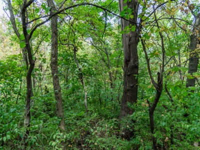 Wyandotte County Kansas Build Site - 18.91± Acres - image 27