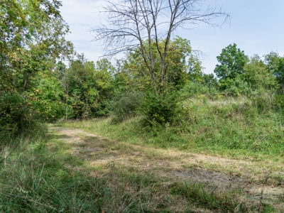 Wyandotte County Kansas Build Site - 18.91± Acres - image 20