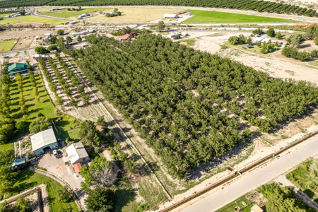 Las Cruces NM Pecan Orchard for Sale - image 8