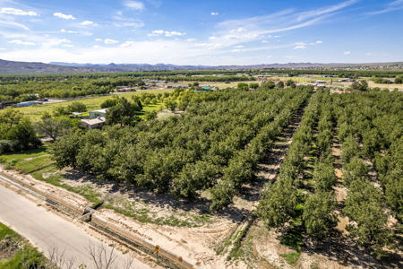 Las Cruces NM Pecan Orchard for Sale - image 18