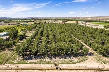 Las Cruces NM Pecan Orchard for Sale - image 17