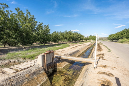 Las Cruces NM Pecan Orchard for Sale - image 31