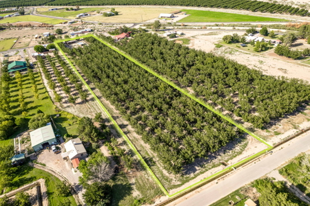 Las Cruces NM Pecan Orchard for Sale - image 7