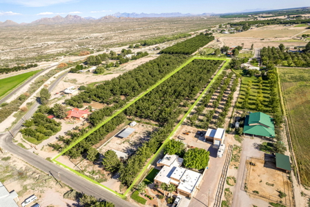 Las Cruces NM Pecan Orchard for Sale - image 3