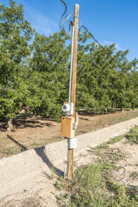 Las Cruces NM Pecan Orchard for Sale - image 26