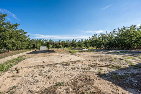 Las Cruces NM Pecan Orchard for Sale - image 25