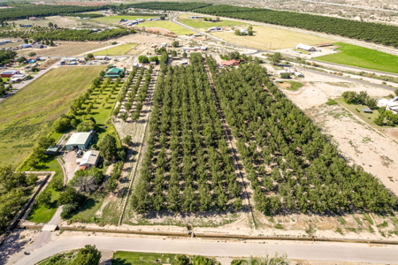 Las Cruces NM Pecan Orchard for Sale - image 13