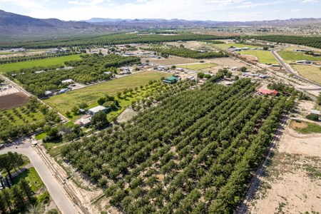 Las Cruces NM Pecan Orchard for Sale - image 15