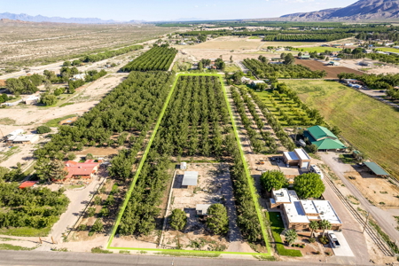 Las Cruces NM Pecan Orchard for Sale - image 1