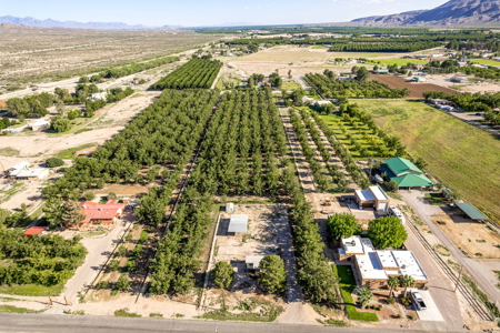 Las Cruces NM Pecan Orchard for Sale - image 2