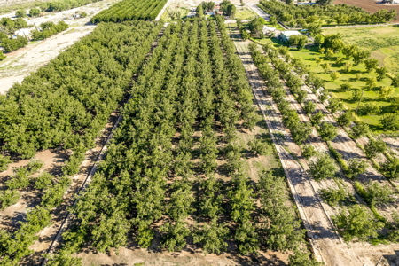 Las Cruces NM Pecan Orchard for Sale - image 11