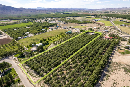Las Cruces NM Pecan Orchard for Sale - image 14