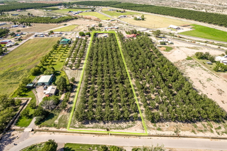 Las Cruces NM Pecan Orchard for Sale - image 12