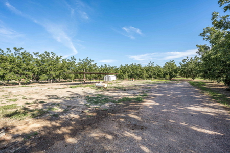 Las Cruces NM Pecan Orchard for Sale - image 24