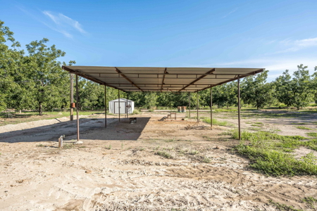 Las Cruces NM Pecan Orchard for Sale - image 27
