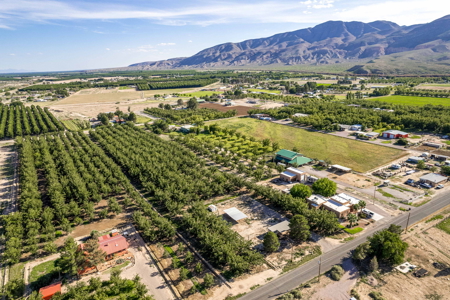 Las Cruces NM Pecan Orchard for Sale - image 6