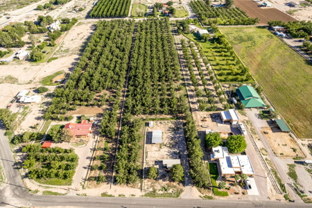 Las Cruces NM Pecan Orchard for Sale - image 9