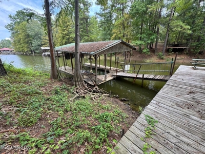 136 Abe Drive - Toledo Bend Lakefront Property - image 25