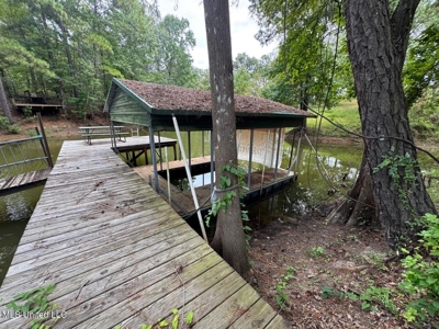 136 Abe Drive - Toledo Bend Lakefront Property - image 26