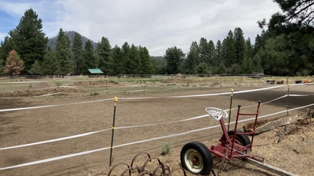 Home on Acreage in Old Station, California Mt. Lassen State Park - image 26