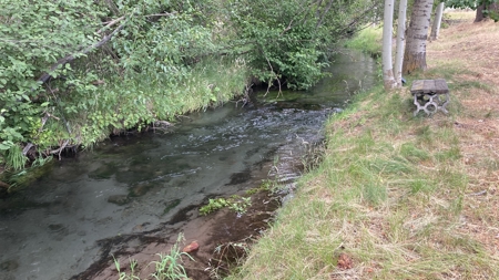 Home on Acreage in Old Station, California Mt. Lassen State Park - image 8