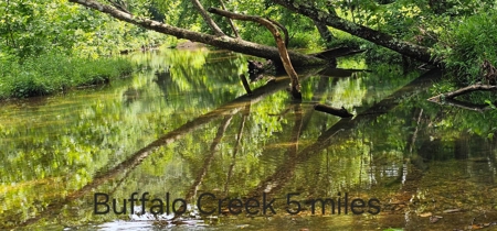 Private 22-Acre Retreat Near Eleven Point River for Hobby Farm - image 33