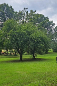 Private 22-Acre Retreat Near Eleven Point River for Hobby Farm - image 27