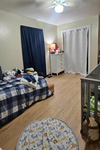 Private 22-Acre Retreat Near Eleven Point River for Hobby Farm - image 19