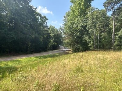 The South Rosston Home Site Tract - image 8