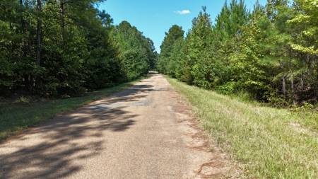 16 Acres Timberland for Sale in Union Parish - McBroom Tract - image 3