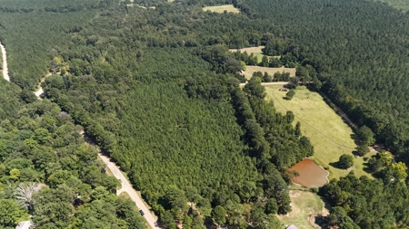 16 Acres Timberland for Sale in Union Parish - McBroom Tract - image 9