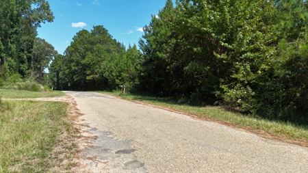 16 Acres Timberland for Sale in Union Parish - McBroom Tract - image 11