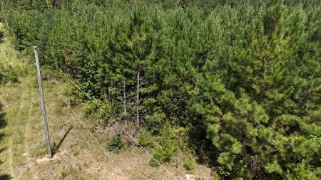 16 Acres Timberland for Sale in Union Parish - McBroom Tract - image 7