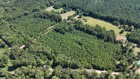 16 Acres Timberland for Sale in Union Parish - McBroom Tract - image 1