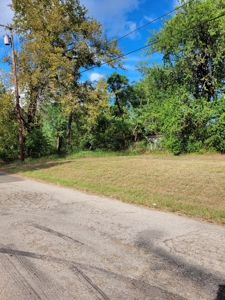 Prime Residential Lots with Investment Potential By N Main St - image 5