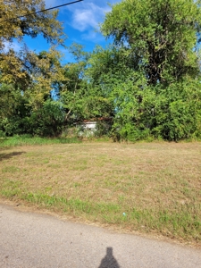 Prime Residential Lots with Investment Potential By N Main St - image 8
