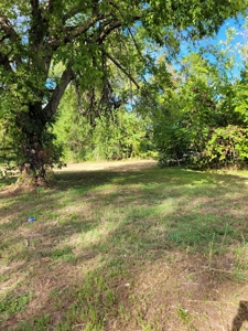 Prime Residential Lots with Investment Potential By N Main St - image 2