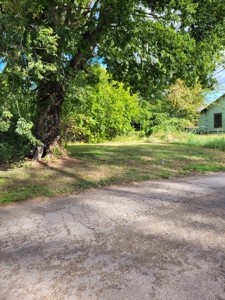 Prime Residential Lots with Investment Potential By N Main St - image 4