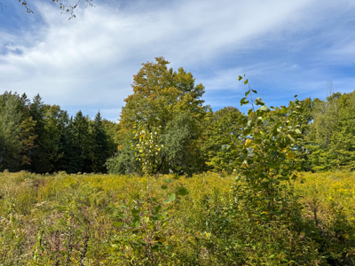 Off-Grid Log Home on 33.4 Acres - image 38