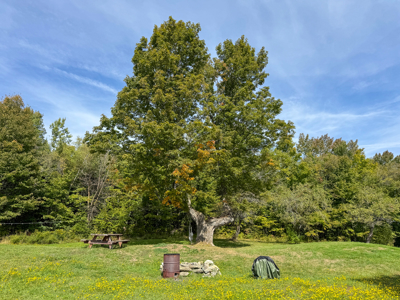 Off-Grid Log Home on 33.4 Acres - image 42