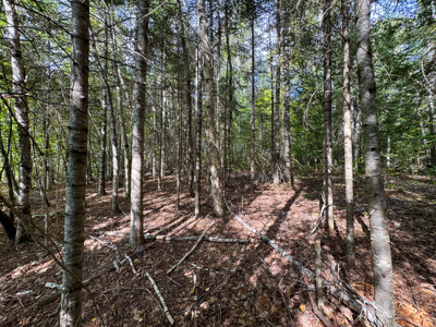 Off-Grid Log Home on 33.4 Acres - image 39
