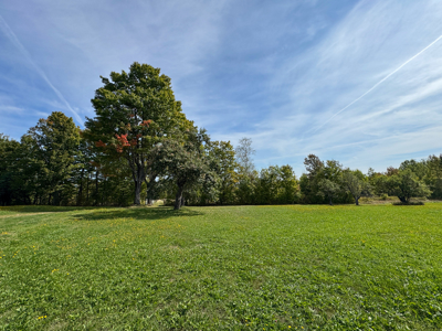 Off-Grid Log Home on 33.4 Acres - image 41