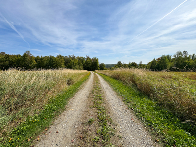 Off-Grid Log Home on 33.4 Acres - image 36