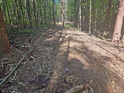 11.91 Acres of Buildable Land with Creek in Reidsville, NC - image 11