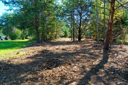 11.91 Acres of Buildable Land with Creek in Reidsville, NC - image 5