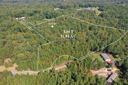 11.91 Acres of Buildable Land with Creek in Reidsville, NC - image 13