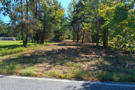 11.91 Acres of Buildable Land with Creek in Reidsville, NC - image 7