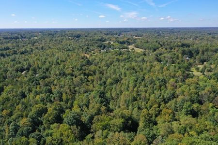 11.91 Acres of Buildable Land with Creek in Reidsville, NC - image 8
