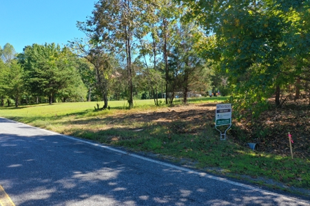 11.91 Acres of Buildable Land with Creek in Reidsville, NC - image 6