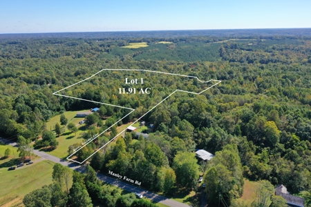 11.91 Acres of Buildable Land with Creek in Reidsville, NC - image 4
